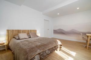 1 dormitorio con 1 cama grande y escritorio en Magnifique appartement plein centre, calme, Netflix en Mirepoix