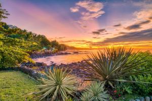 una puesta de sol sobre el océano con plantas en primer plano en Hotel Amor de Mar, en Montezuma