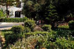 Vonkajšia záhrada v ubytovaní Hersonissos Village Hotel & Bungalows