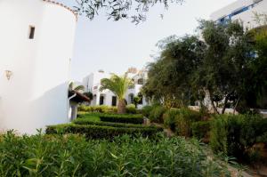 Vonkajšia záhrada v ubytovaní Hersonissos Village Hotel & Bungalows