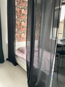 a bed in a room with a curtain at Apartament Sobieskiego in Zabrze