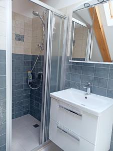 ein Bad mit einer Dusche, einem Waschbecken und einem Spiegel in der Unterkunft Villa Tanya - modern 3 bedroom house seconds away from the sea in Zaton