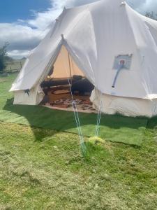 a white tent on the grass in a field at Bankfoot Glamping 2 in Stocksfield