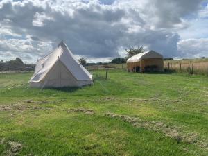 two tents in a field in a field at Bankfoot Glamping 2 in Stocksfield