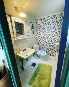 bagno con servizi igienici e lavandino di Aobrio Holidayhouse, authentic norwegian farmhouse close to Flåm a Lærdalsøyri