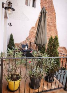 patio z parasolem i doniczkami w obiekcie CASA HINTZ Transilvania w Fogaraszu