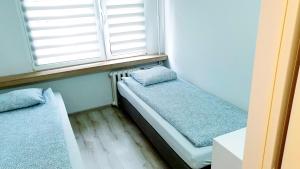 a room with two beds sitting under a window at Best Choice 2-bedroom Apartment in Płock