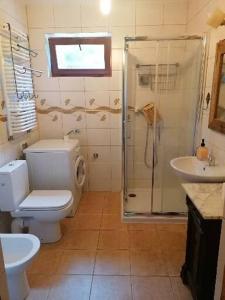 a bathroom with a toilet and a shower and a sink at Wyciszek - mazurska agroturystyka in Węgorzewo +45 photos