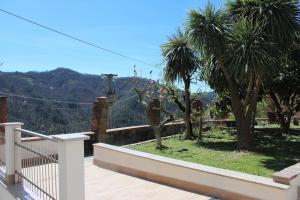 einen Balkon mit Palmen und Bergblick in der Unterkunft appartamento in piccolo borgo immerso nel verde in Castiglione Chiavarese