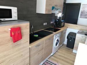 Kuchyň nebo kuchyňský kout v ubytování Le Flamboyant avec piscine chauffée 30° et Jacuzzi