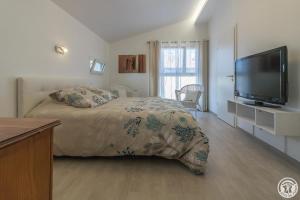 une chambre avec un lit et une télévision à écran plat dans l'établissement COSY LODGE TOULOUSE, à Toulouse