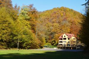 a house in the middle of a field with trees at Pensiunea Magura in Baia Mare