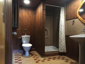 a bathroom with a toilet and a shower and a sink at Willa no.18 in Reda