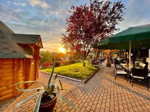 un patio con mesa, sillas y una planta en Naturhotel Gasthof Bärenfels, en Kurort Altenberg