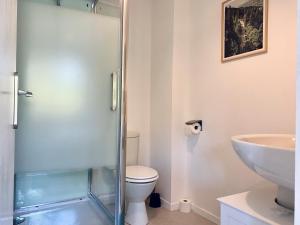 uma casa de banho com um chuveiro, um WC e um lavatório. em Appartement proche Hôpital et centre-ville em Saint-Lô