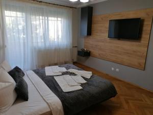a bedroom with a bed with a tv on the wall at Apartament Alena in Baile Felix