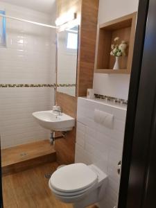 a bathroom with a white toilet and a sink at Apartament Alena in Baile Felix