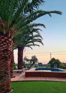 una palmera junto a una piscina en Casa vacanze La Posada, en Partanna