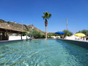 una gran piscina con una palmera en el fondo en Hotel Villa Bernardina en Isquia