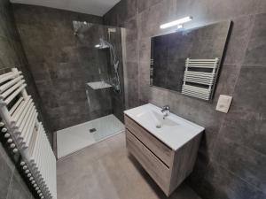 een badkamer met een wastafel, een douche en een spiegel bij Les Cayaux in Brugelette