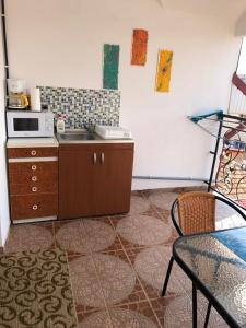 eine Küche mit einer Spüle und einer Mikrowelle in der Unterkunft Vila Nicole in Eforie Nord