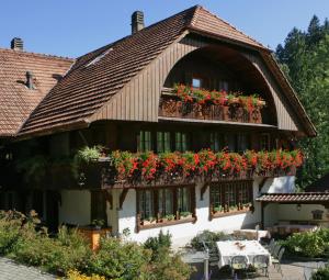 a building with flower boxes on the windows at Hotel Appenberg in Zäziwil