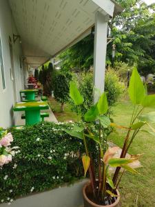 Zahrada ubytování บ้านไม้หอมบูติค สวนผึ้ง
