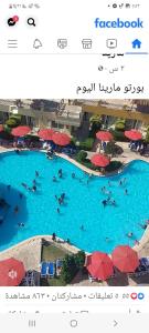 a screenshot of a website with people swimming in a pool at Porto marina luxury flat for families onlyشاليه فاخرداخل بورتو مارينا in El Alamein