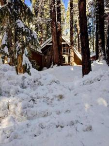 a pile of snow in front of a cabin at Modern Cabin Get Away - close to APPLE HILL in Pollock Pines