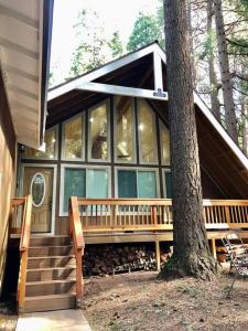a house with a tree and a bench in front of it at Modern Cabin Get Away - close to APPLE HILL in Pollock Pines
