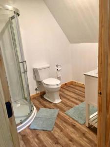 a bathroom with a toilet and a shower and wood floors at Modern Cabin Get Away - close to APPLE HILL in Pollock Pines