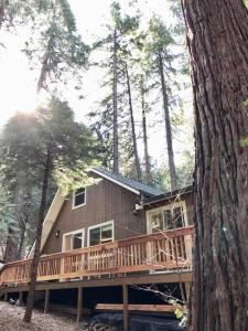 a house with a wooden deck in the woods at Modern Cabin Get Away - close to APPLE HILL in Pollock Pines