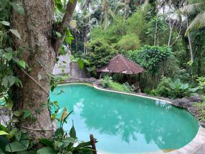 een zwembad in een tuin met een boom bij Wonder-Land Villa in Ubud
