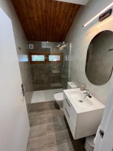 uma casa de banho com um lavatório, um WC e um espelho. em Palacio de Cambre em Soto de Cangas