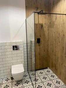 a bathroom with a toilet and a shower at Apartament Tomek in Iława