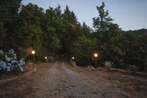 a gravel road with street lights and trees at night at La Casa del Sole in Corvara