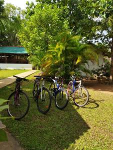 three bikes parked on the grass in a park at La Dolce Vita in Sigiriya