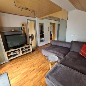 een woonkamer met een bank en een flatscreen-tv bij Ferienwohnungen Claudia in Altossiach