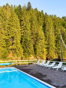 eine Gruppe von Liegestühlen und einem Pool in der Unterkunft Forest House in Tatariw