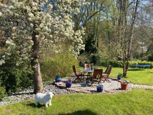 Zahrada ubytování Ferien in Sachsen
