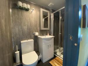 a bathroom with a toilet and a sink and a shower at The Residence - 47 Minto St in Edinburgh