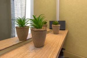 Fotografie z fotogalerie ubytování Guest house Punta v Šibeniku