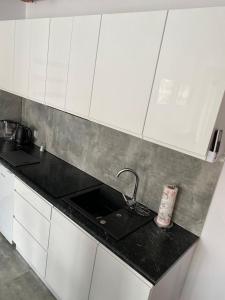 Kjøkken eller kjøkkenkrok på Apartament Baltic Korona B20