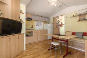 Kuchyň nebo kuchyňský kout v ubytování Guest house Punta