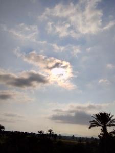 a cloudy sky with a palm tree in the foreground at رحله تسوق الغردقه in Hurghada