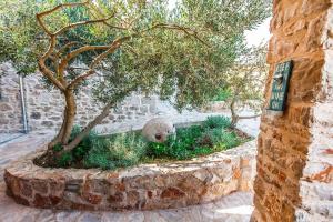 Zahrada ubytování Villa Natura