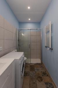 a bathroom with a shower and a washing machine at Mialon rural apartment: haven of calm in nature in La Esperanza