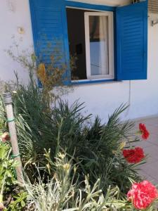 una casa con una ventana azul y algunas flores en Alexandra's Studios, en Kechria