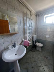 a bathroom with a sink and a toilet at Dream in Otočac