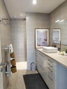 łazienka z umywalką i prysznicem w obiekcie COSY LODGE GITE APPARTEMENT MEUBLE CiTY BREAK w Tuluzie